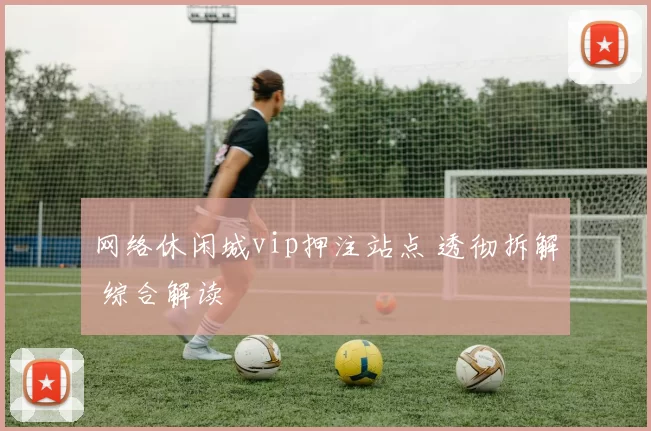 网络休闲城vip押注站点 透彻拆解 综合解读