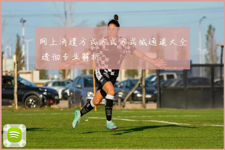 网上消遣方式方式方式城通道大全 透彻专业解析