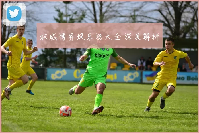 权威博弈娱乐场大全 深度解析