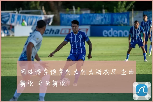 网络博弈博弈行为行为游戏厅 全面解读 全面解读