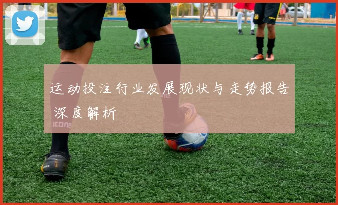 运动投注行业发展现状与走势报告 深度解析