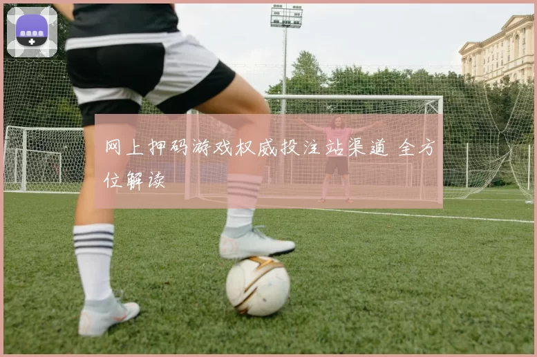 网上押码游戏权威投注站渠道 全方位解读