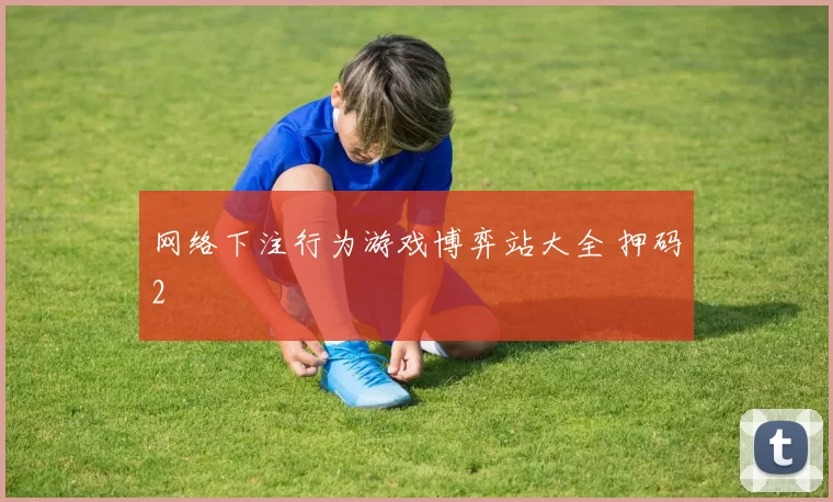 网络下注行为游戏博弈站大全 押码2