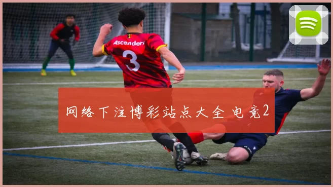 网络下注博彩站点大全 电竞2