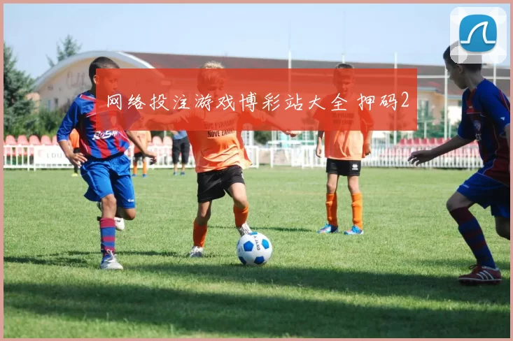 网络投注游戏博彩站大全 押码2