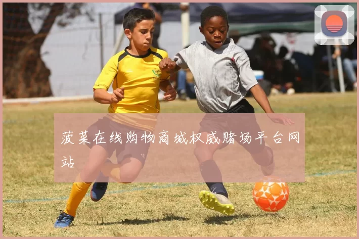 菠菜在线购物商城权威赌场平台网站