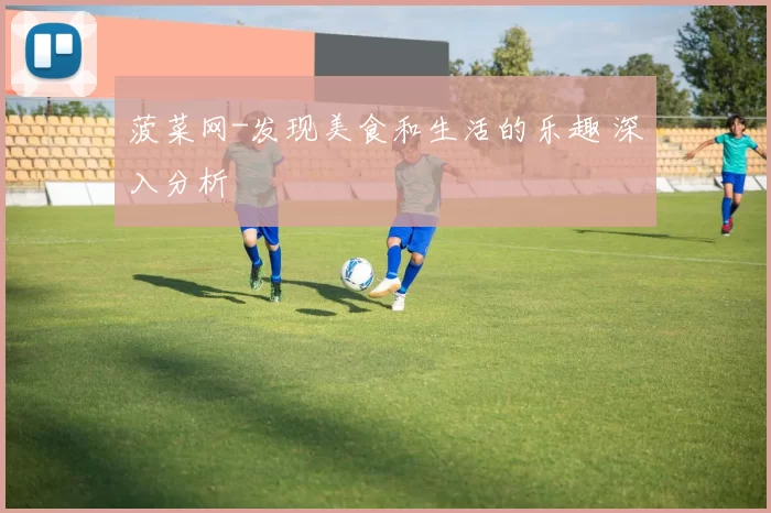 菠菜网-发现美食和生活的乐趣 深入分析