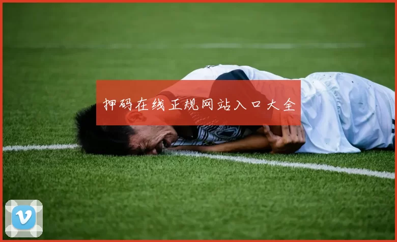 押码在线正规网站入口大全