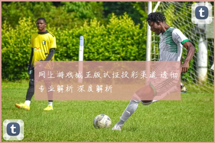 网上游戏城正版认证投彩渠道 透彻专业解析 深度解析
