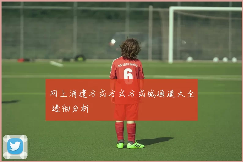 网上消遣方式方式方式城通道大全 透彻分析