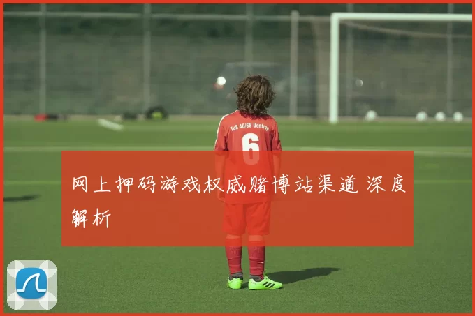 网上押码游戏权威赌博站渠道 深度解析