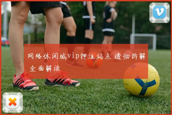 网络休闲城vip押注站点 透彻拆解 全面解读