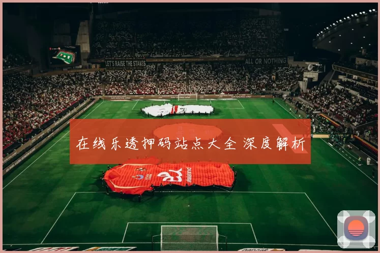 在线乐透押码站点大全 深度解析