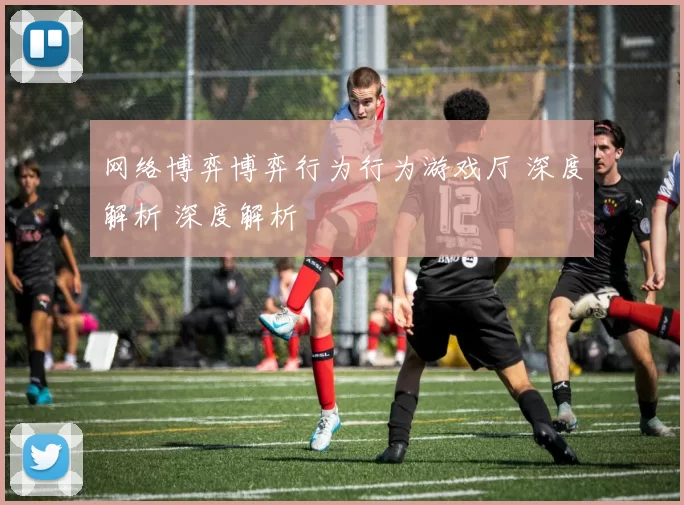 网络博弈博弈行为行为游戏厅 深度解析 深度解析