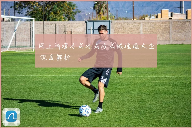 网上消遣方式方式方式城通道大全 深度解析