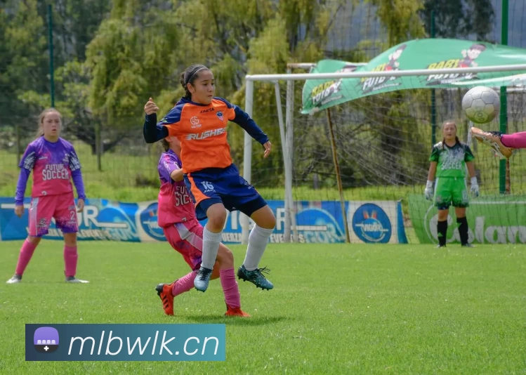 菠菜论坛APP 高清赛事图